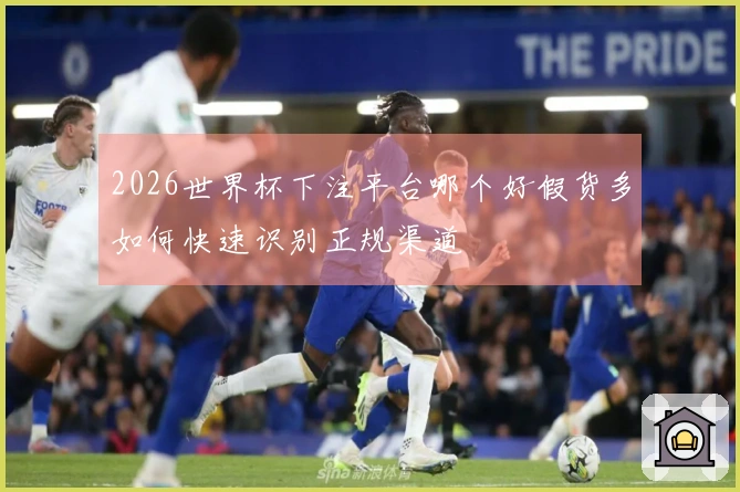 2026世界杯下注平台哪个好假货多如何快速识别正规渠道