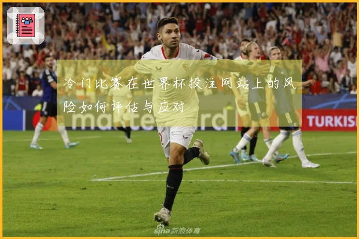 冷门比赛在世界杯投注网站上的风险如何评估与应对